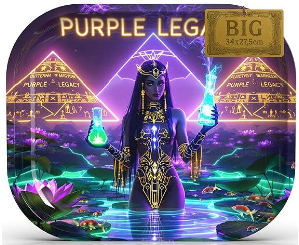 Metal Tray Egyptian Cyberpunk Design - Lotus Magic 34x27.5cm Rounded Corners Organizer