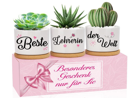 Best Teacher in the World Flower Pots for Christmas, Thank You, Farewell Gift, Birthday, Christmas, Retirement