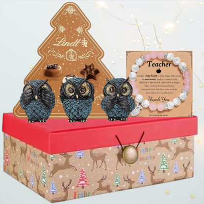 Weihnachtsgeschenkbox für Lehrer – Weisheitsset der drei weisen Eulen