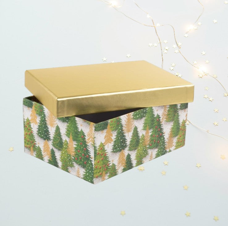 Weihnachtsgeschenkbox für Sie – Arwen Evenstar Anhänger &amp; Positive Potato